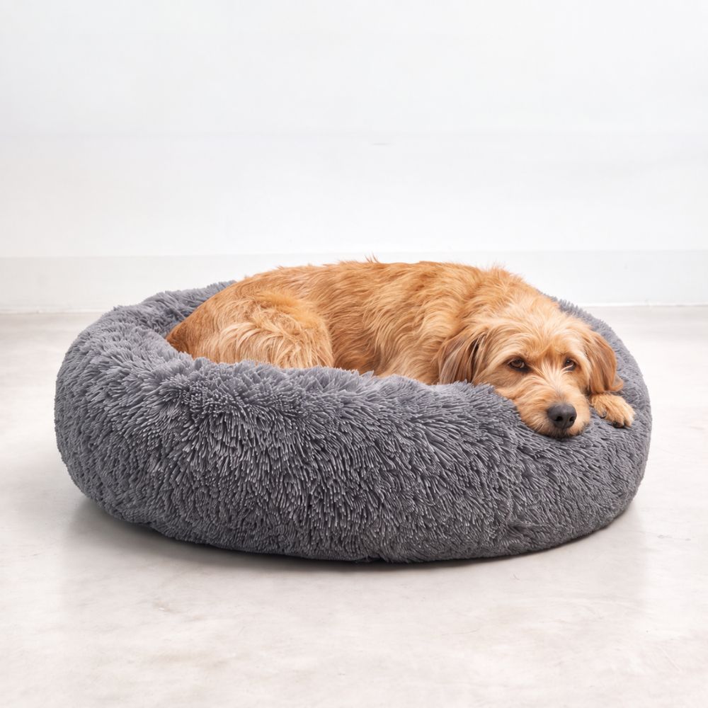 Hond rust in de donkergrijze hondenmand WOLK