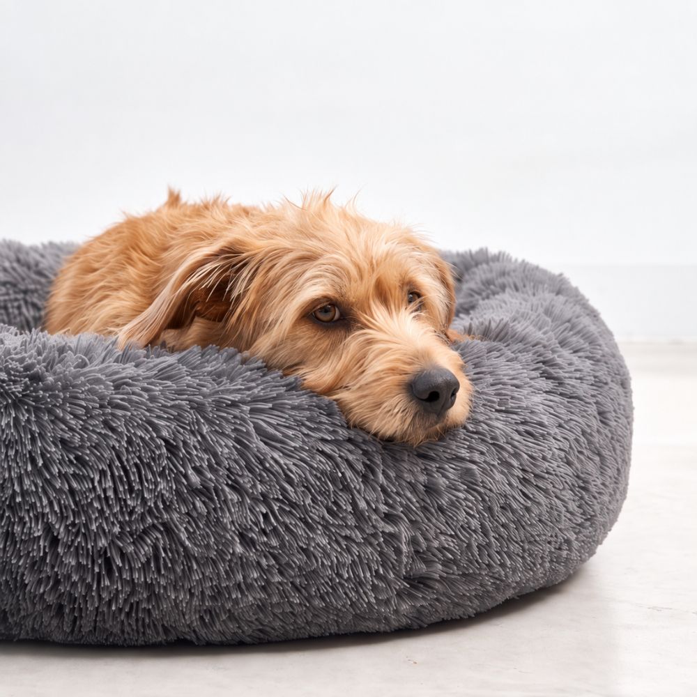 Hond ligt met zijn kop op de rand van de hondenmand WOLK