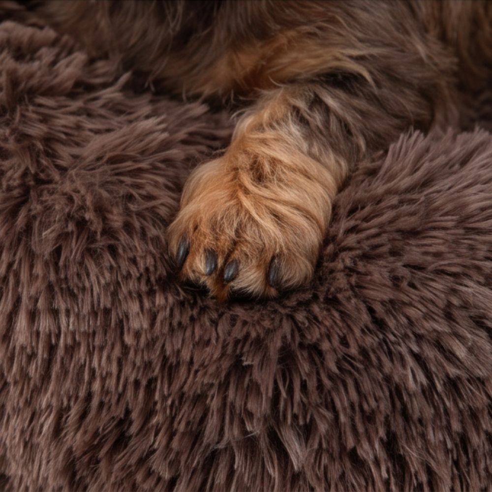 Hondenmand Wolk Bruin