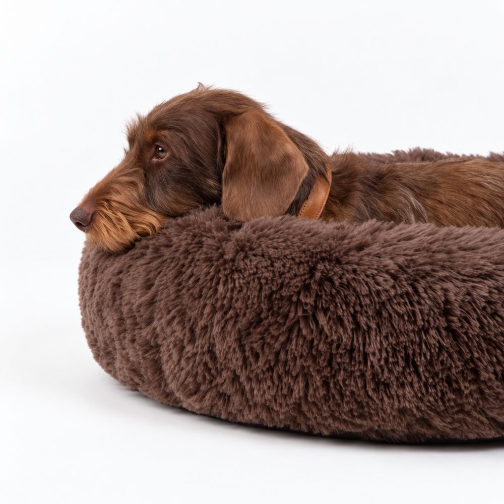 Hondenmand Wolk Bruin